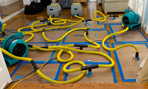 Professional Burst Pipe Water Damage technician working in Lehi, UT
